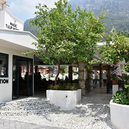 Ξενοδοχείο Magic Tulip