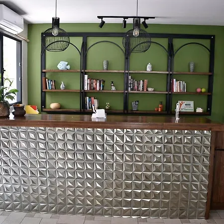 Magic Tulip Ολουντενίζ