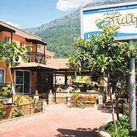 Hotel Magic Tulip 3*