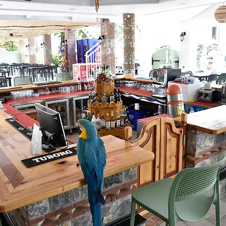 魔幻郁金香酒店 酒店 厄吕代尼兹