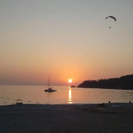 Magic Tulip オルデニズ