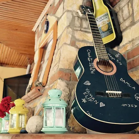 ホテル Magic Tulip