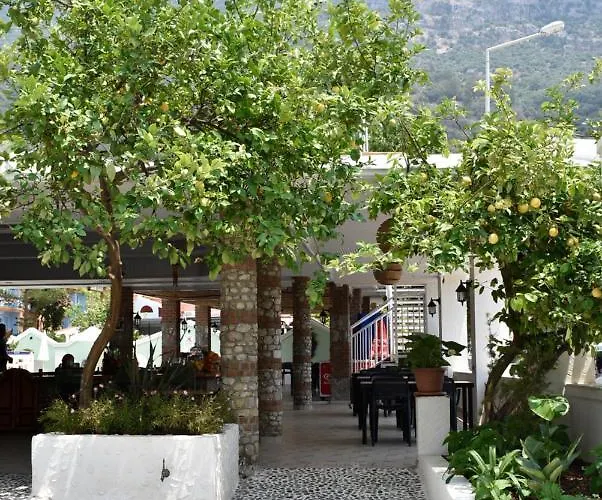 Magic Tulip 3* Oludeniz