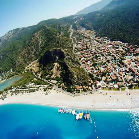 ماجيك توليب