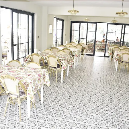 ماجيك توليب أولدينيس