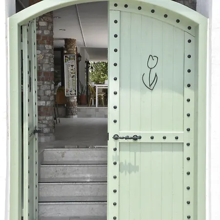 ماجيك توليب أولدينيس