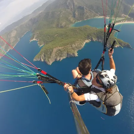 ماجيك توليب أولدينيس